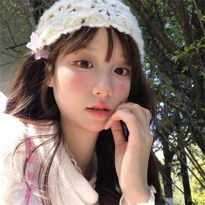机密议程式海报