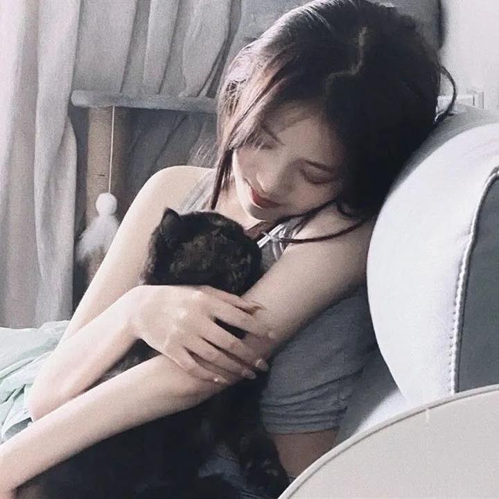 戴帽子的猫海报